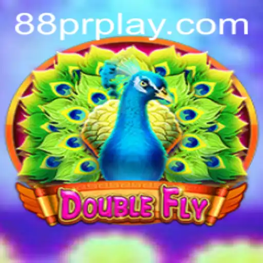 DoubleFly: A Thrilling Adventure in the Gaming Universe